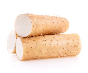 chinese-yam-extract